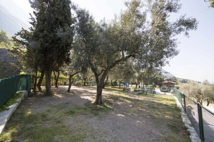 zobacz camping - zdjęcie 9