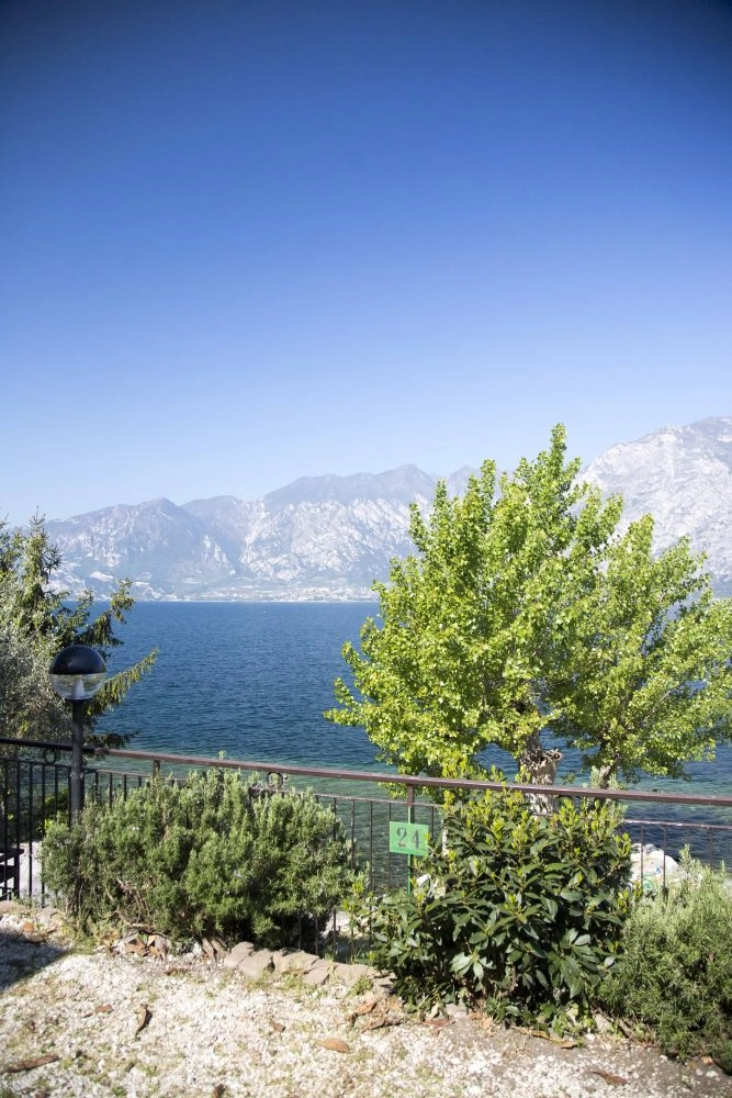 zobacz camping - zdjęcie 5