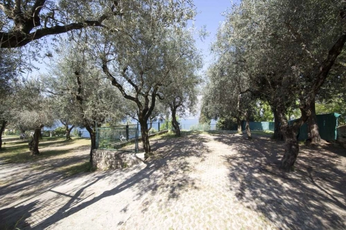 zobacz camping - zdjęcie 4