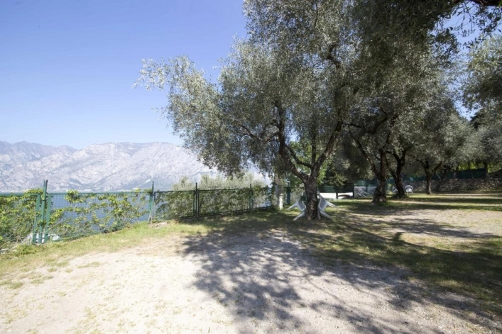 zobacz camping - zdjęcie 1