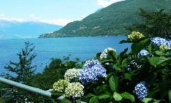 Camping Bosco Boschetto Holiday - zdjęcie 3