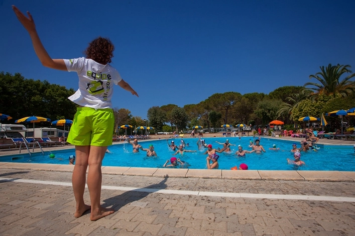 zobacz camping - zdjęcie 26