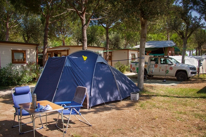 zobacz camping - zdjęcie 25