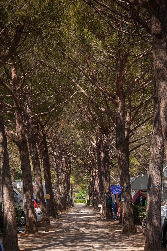 zobacz camping - zdjęcie 17