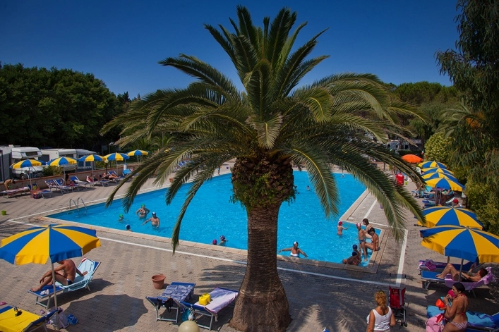 zobacz camping - zdjęcie 16