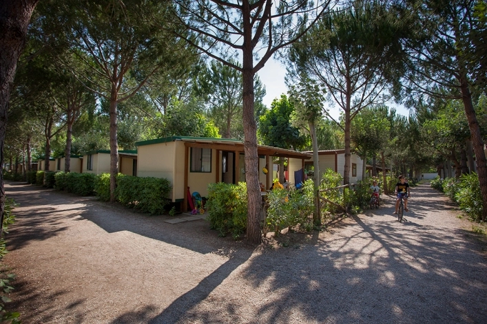 zobacz camping - zdjęcie 12