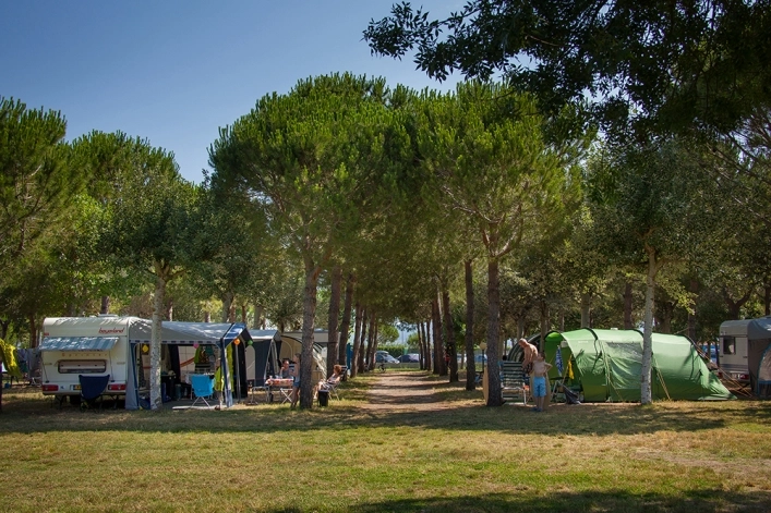 zobacz camping - zdjęcie 9