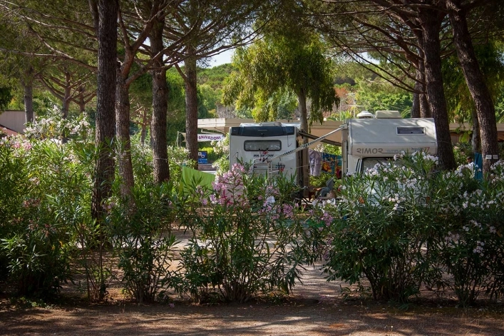 zobacz camping - zdjęcie 6