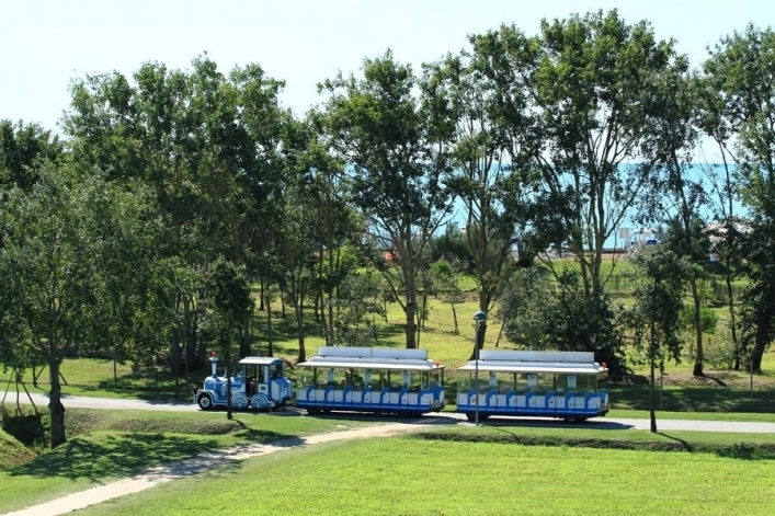 zobacz camping - zdjęcie 11