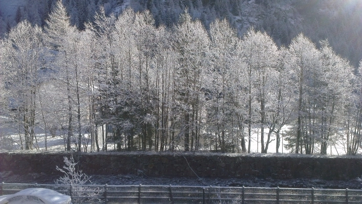 zobacz camping - zdjęcie 19