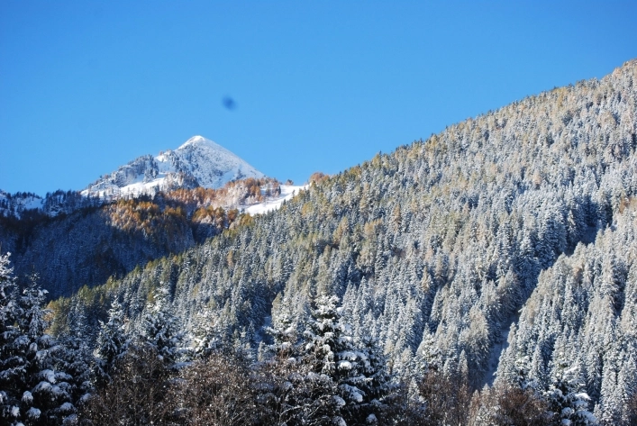 zobacz camping - zdjęcie 11