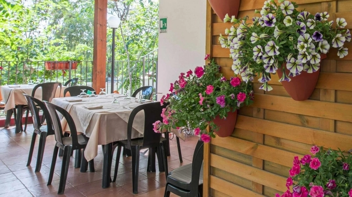 zobacz camping - zdjęcie 5