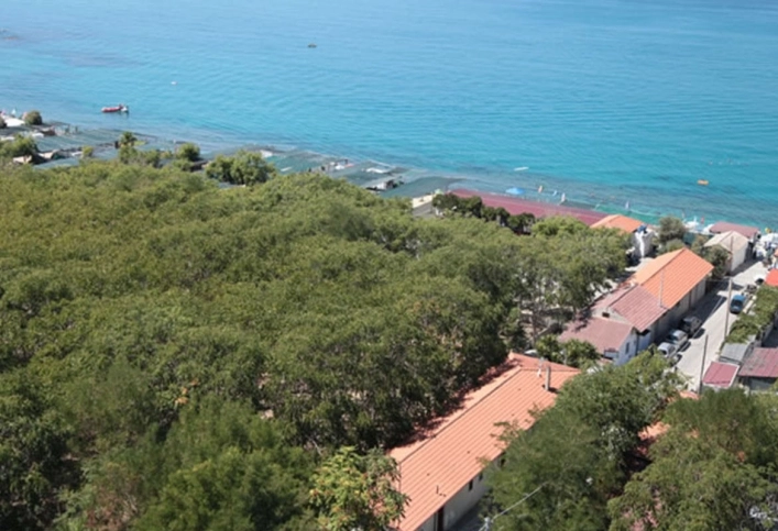 zobacz camping - zdjęcie 18