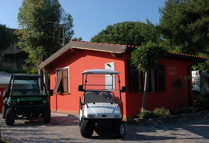 zobacz camping - zdjęcie 26