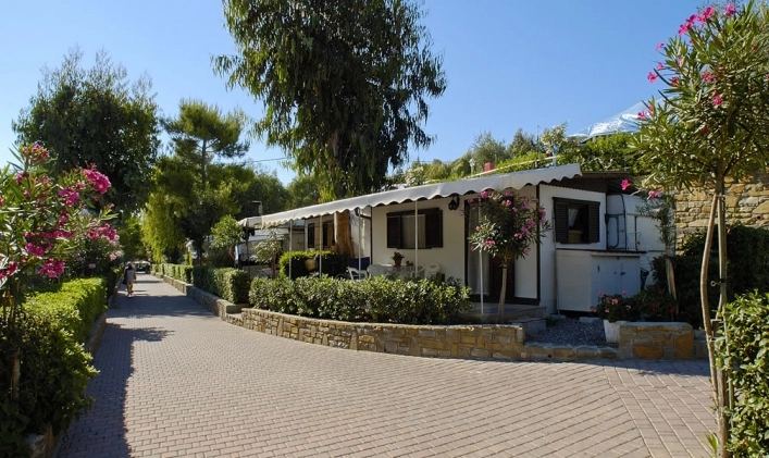 zobacz camping - zdjęcie 18