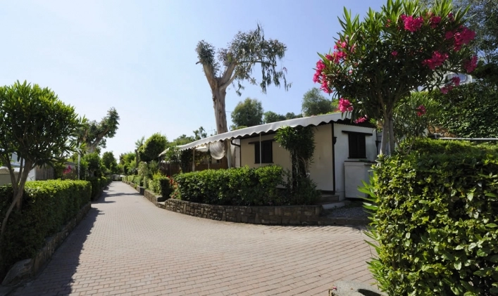 zobacz camping - zdjęcie 7