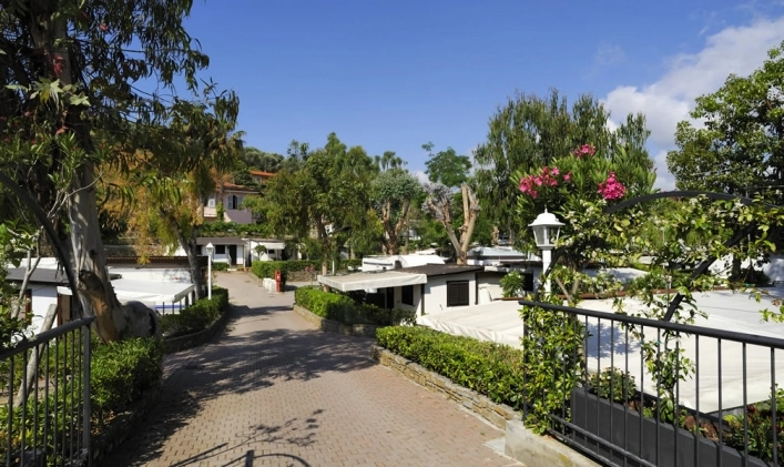 zobacz camping - zdjęcie 1