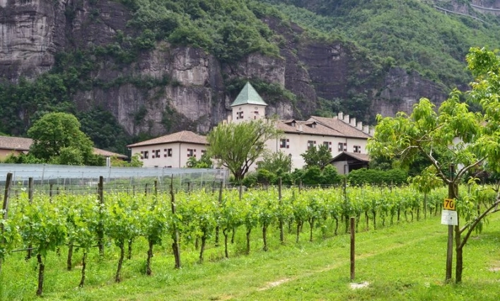 zobacz camping - zdjęcie 4