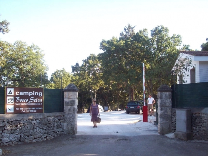 zobacz camping - zdjęcie 6