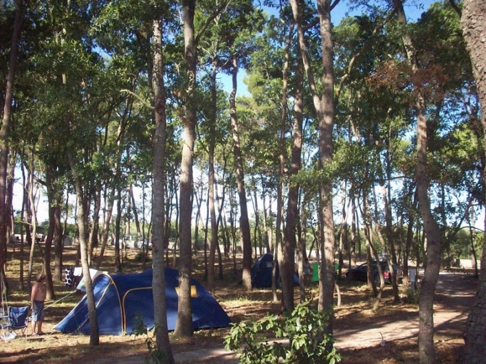 zobacz camping - zdjęcie 4