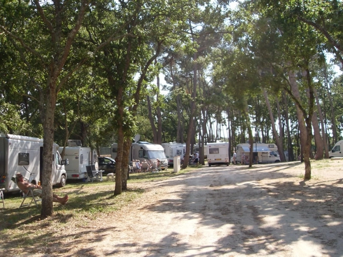 Camping Bosco Selva - zdjęcie 1