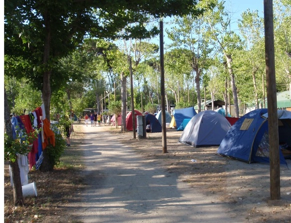 zobacz camping - zdjęcie 14