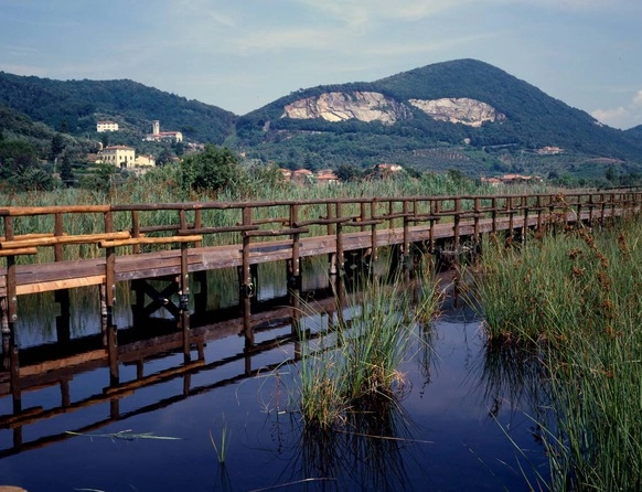 zobacz camping - zdjęcie 6