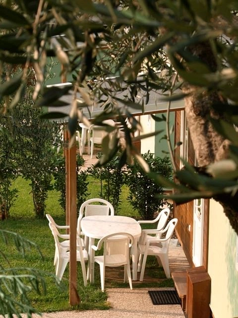 zobacz camping - zdjęcie 23