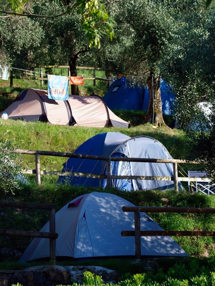 zobacz camping - zdjęcie 17