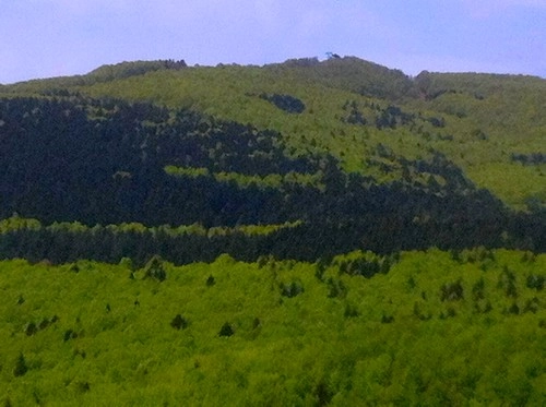 zobacz camping - zdjęcie 10