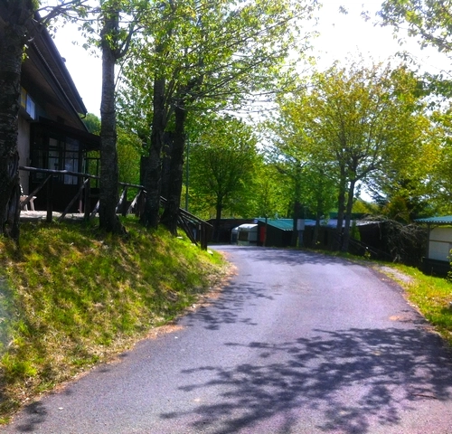 zobacz camping - zdjęcie 7