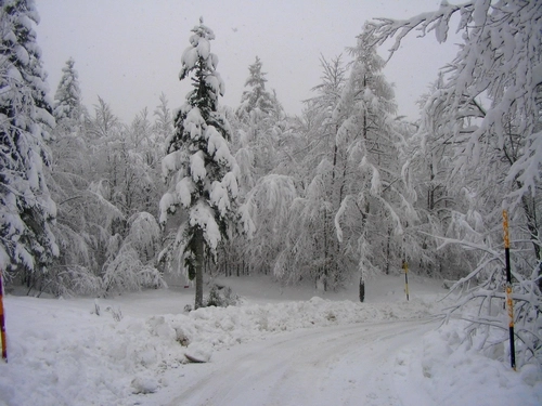 zobacz camping - zdjęcie 3