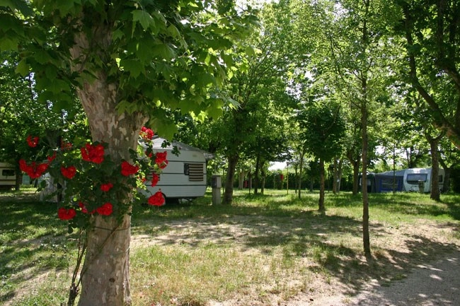zobacz camping - zdjęcie 14