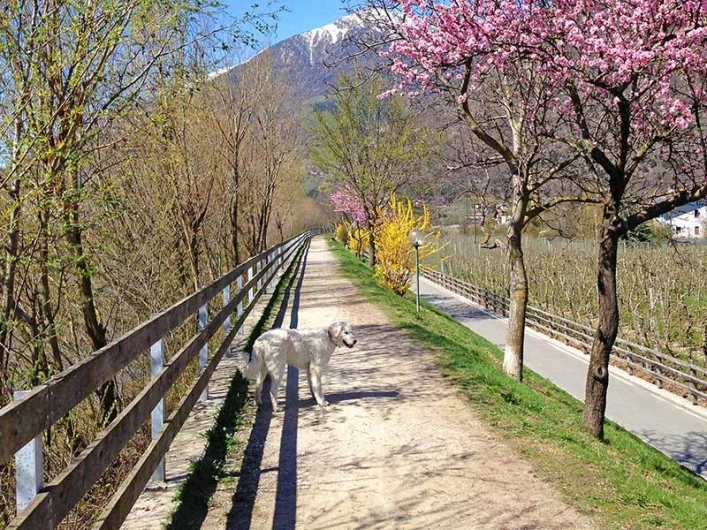 zobacz camping - zdjęcie 20