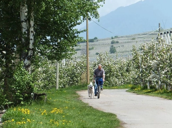 zobacz camping - zdjęcie 14