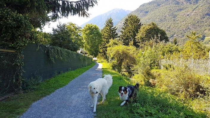 zobacz camping - zdjęcie 11