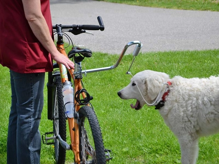 zobacz camping - zdjęcie 10