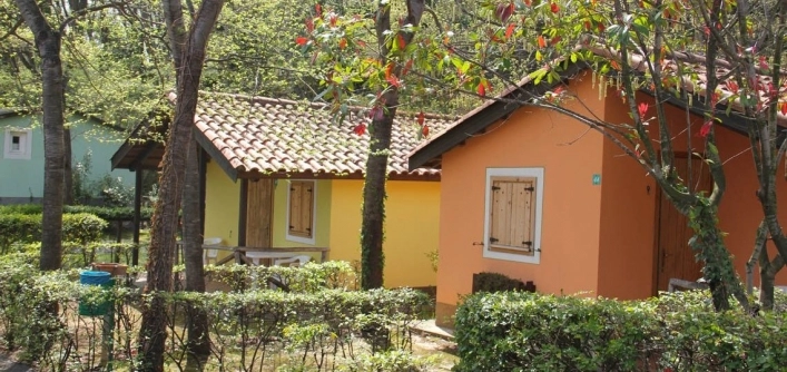 zobacz camping - zdjęcie 27