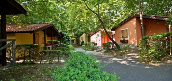 zobacz camping - zdjęcie 24