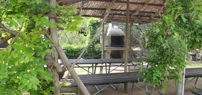 zobacz camping - zdjęcie 21