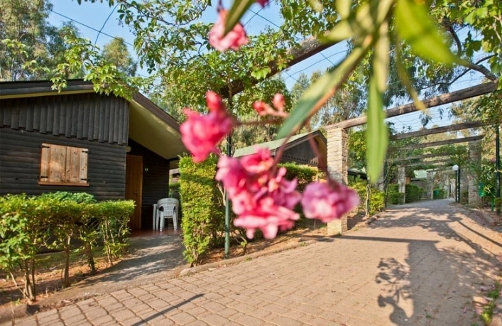 zobacz camping - zdjęcie 20