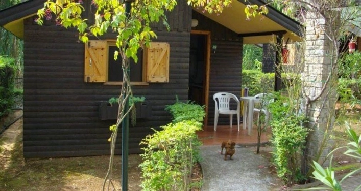 zobacz camping - zdjęcie 17