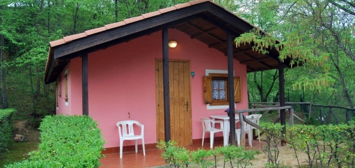 zobacz camping - zdjęcie 5