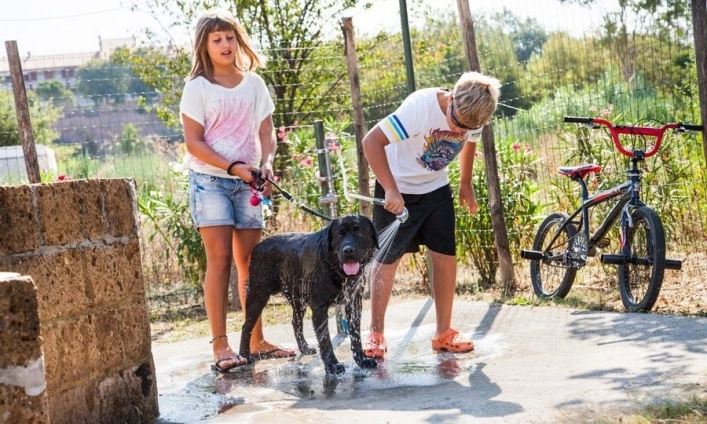 zobacz camping - zdjęcie 3