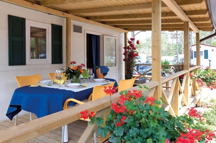 zobacz camping - zdjęcie 15