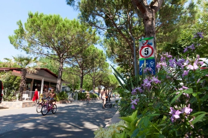 zobacz camping - zdjęcie 13