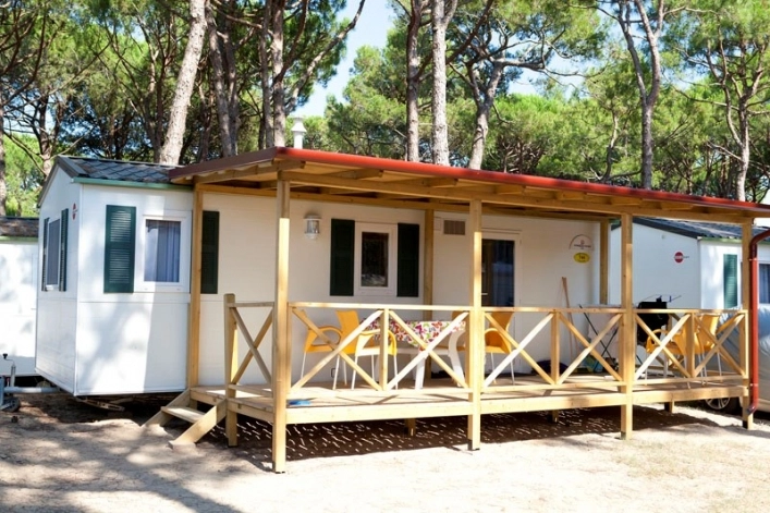 zobacz camping - zdjęcie 5