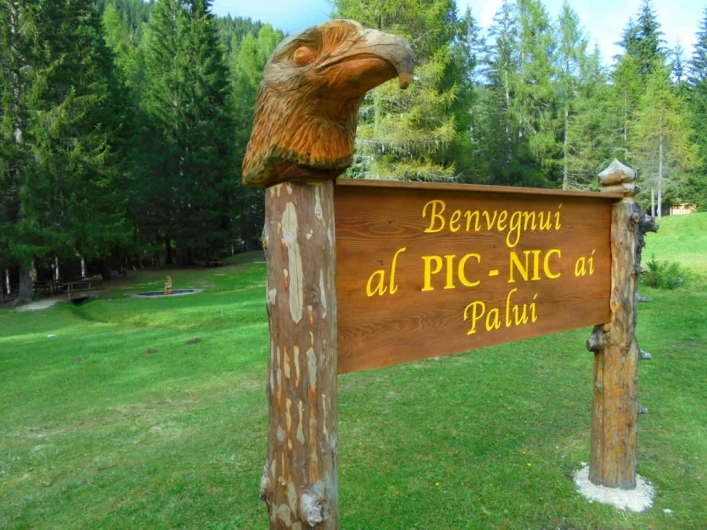 zobacz camping - zdjęcie 21