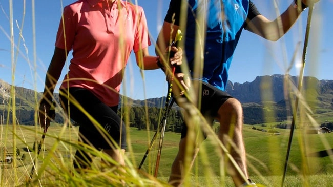 zobacz camping - zdjęcie 7