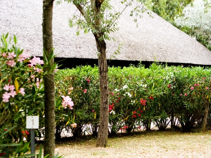 zobacz camping - zdjęcie 18